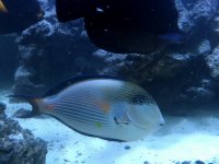 IMG_5923.JPG