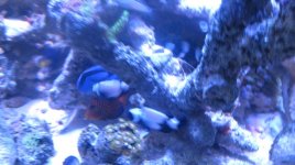 IMG_2019.jpg