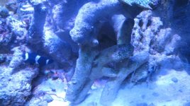 IMG_2023.jpg