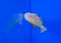 DSC_0588.jpg