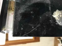 ImageUploadedByReefs2016-01-22 15:09:42 EST.jpg