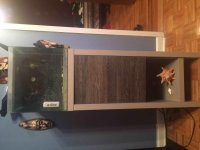 ImageUploadedByReefs2015-05-03 00:21:51 EDT.jpg