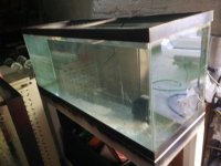 uploadfromtaptalk1433632915126.jpg