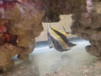 20150502_190857.jpg