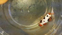 20151004_164103.jpg