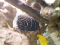 20150502_190846.jpg
