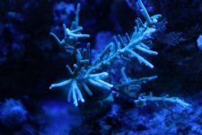 IMG_5808.jpg