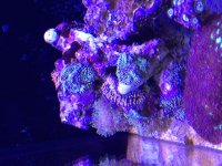 IMG_6072.JPG