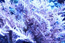 IMG_5832.jpg