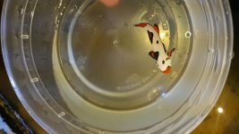 20151004_164016.jpg