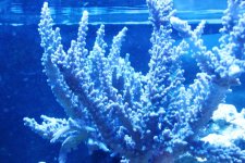 IMG_5833.jpg