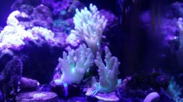 20160227_133856.jpg