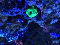 IMG_1568.jpg