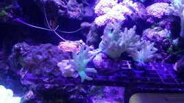 20160227_133834.jpg