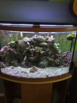 fish 5.jpg