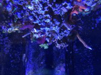 IMG_2284.jpg