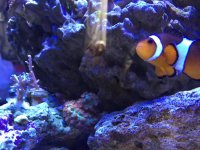 IMG_6053.jpg