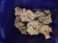 Dry Rock.JPG