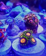 2015-07-22 18.47.59.jpg