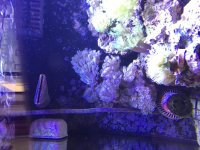 IMG_7259.jpg