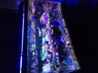 IMG_8403.jpg