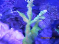 IMG_1264.jpg