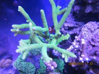 IMG_1265.jpg