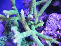 IMG_1266.jpg