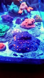 2015-08-01 20.21.29.jpg