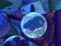 IMG_0027.jpg
