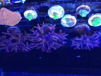 IMG_0026.jpg