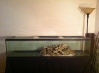 100gal1.jpg