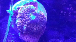 20160313_085739.jpg