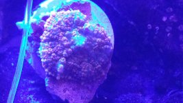 20160313_085737.jpg