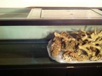 100gal3.jpg
