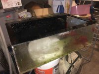 ImageUploadedByReefs2016-01-24 19:26:57 EST.jpg