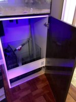 FullSizeRender (1).jpg