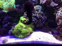 IMG_0046.jpg