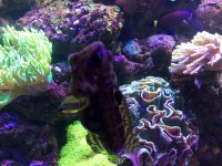IMG_0047.jpg