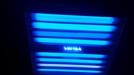 20151006_091253.jpg