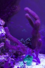 IMG_0914_2.jpg