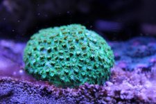 IMG_0912.jpg