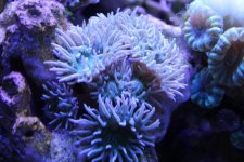 IMG_0904.jpg