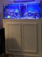 IMG_1438.jpg