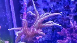 20160315_173556.jpg