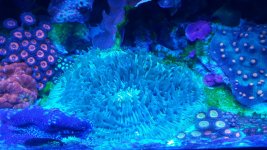 20160215_134859.jpg