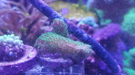 20160208_153147.jpg