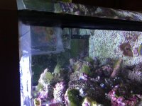 cracked tank.jpg
