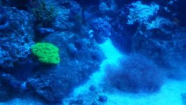 20160316_194005-sm.jpg