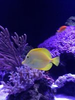 IMG_4546.jpg